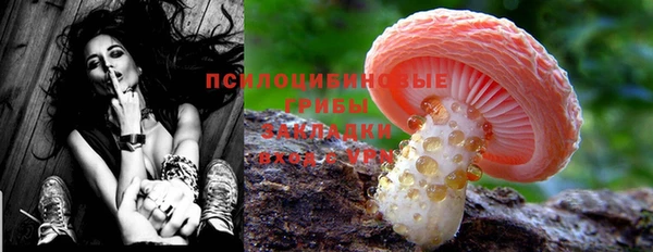 a pvp Тольятти